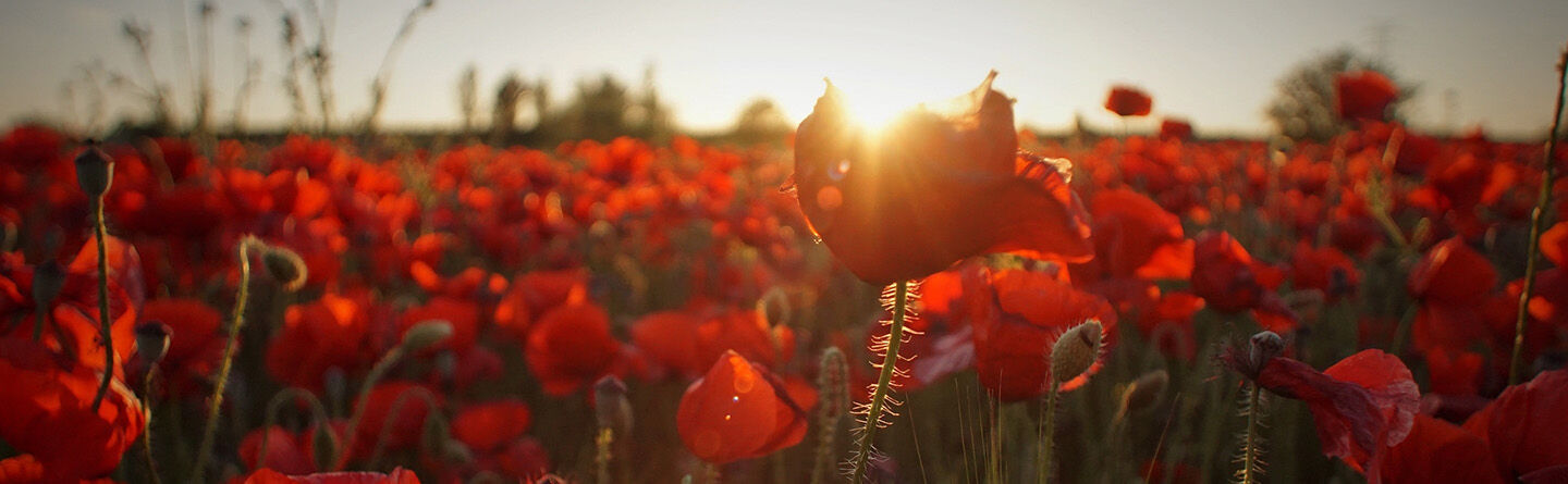 /Magazine/2022/September/Header 1440x445_08.jpg